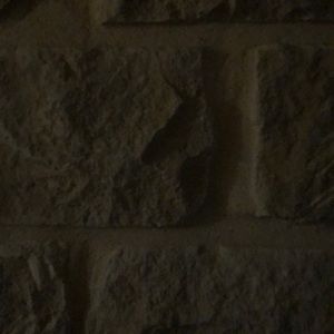 Meet your Posher, Steve